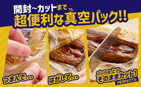 【期間限定】 鹿児島県 大隅産 うなぎ 蒲焼 4尾(400g) KN007-023 国産