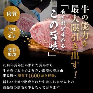 【年内配送12月8日入金まで】鹿児島県産「鹿児島黒牛」Ａ5ランク特選サーロインステーキ690g［230g×3枚］ 1106-1