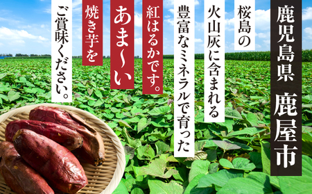 紅はるか 冷凍焼き芋2kg KN046-011-02 焼き芋 焼いも スイーツ マーケティングビー ふるさと納税 鹿児島 鹿屋市 おすすめ ランキング プレゼント ギフト