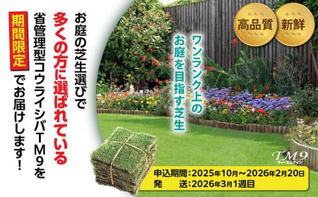 TM9（ティーエムナイン）省管理型コウライシバ トヨタ自動車(株)開発品種 1平米 KN080-007-01 芝生 お庭づくり