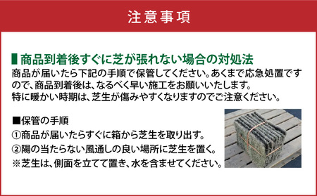 TM9（ティーエムナイン）省管理型コウライシバ トヨタ自動車(株)開発品種 1平米 KN080-007-01 芝生 お庭づくり