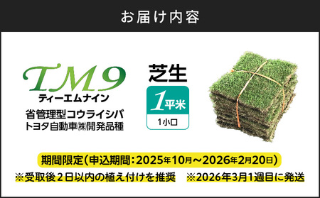 TM9（ティーエムナイン）省管理型コウライシバ トヨタ自動車(株)開発品種 1平米 KN080-007-01 芝生 お庭づくり