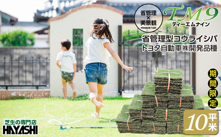 TM9（ティーエムナイン）省管理型コウライシバ トヨタ自動車(株)開発品種 10平米 KN080-007-03 芝生 お庭づくり