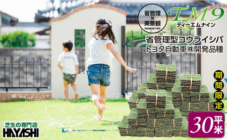 TM9（ティーエムナイン）省管理型コウライシバ トヨタ自動車(株)開発品種 30平米 KN080-007-04 芝生 お庭づくり