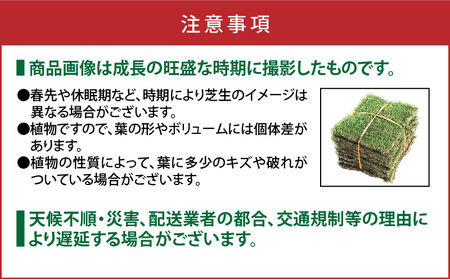 TM9 （ ティーエムナイン ） 省管理型コウライシバ トヨタ自動車(株) 開発品種 50平米 KN080-007-05 芝生 芝 庭 お庭づくり 高品質 新鮮 期間限定 限定 美景観 省管理 お手入れ楽 美しい ハヤシ ふるさと納税 鹿児島 鹿屋市 おすすめ ランキング プレゼント ギフト