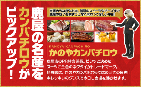 【 全12回 】 鹿屋 カンパチロウ便 KN000-T08 カンパチ 刺身 魚 チーズ 牛 黒毛和牛 サーロイン ステーキ シャトーブリアン フェスティバロ 唐芋レアケーキ 豚 しゃぶしゃぶ ハム ソーセージ さかし豚 うなぎ 鰻 蒲焼 マンゴー フルーツ 果物 ロース 鶏 もも すき焼き セット 詰合せ 惣菜 スイーツ 菓子 定期便 ふるさと納税 鹿児島 鹿屋市 おすすめ ランキング プレゼント ギフト