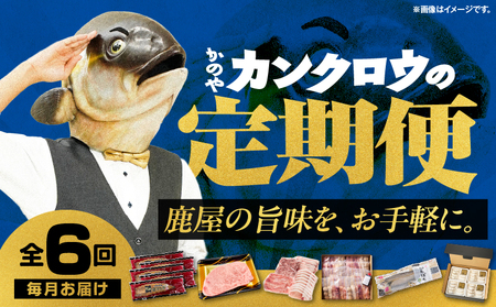 【 全6回 】 鹿屋 カンクロウ便 KN000-T09 うなぎ 鰻 蒲焼 牛 黒毛和牛 黒牛 サーロイン ステーキ 豚 黒豚 訳あり 大容量 鶏 串 焼き鳥 焼鳥 カンパチ 刺身 魚 餃子 セット 詰合せ 惣菜 定期便 ふるさと納税 鹿児島 鹿屋市 おすすめ ランキング プレゼント ギフト