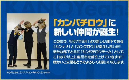 【 全6回 】 鹿屋 カンクロウ便 KN000-T09 うなぎ 鰻 蒲焼 牛 黒毛和牛 黒牛 サーロイン ステーキ 豚 黒豚 訳あり 大容量 鶏 串 焼き鳥 焼鳥 カンパチ 刺身 魚 餃子 セット 詰合せ 惣菜 定期便 ふるさと納税 鹿児島 鹿屋市 おすすめ ランキング プレゼント ギフト