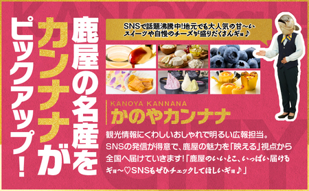 【 全6回 】 鹿屋 カンナナ便 KN000-T10 チーズ ヨーグルト ギリシャ プリン ブルーベリー 粒王 ジェラート アイス 干し芋 紅はるか 芋 フェスティバロ 唐芋レアケーキ スイーツ 菓子 デザート 冷凍 定期便 ふるさと納税 鹿児島 鹿屋市 おすすめ ランキング プレゼント ギフト