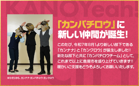 【 全6回 】 鹿屋 カンナナ便 KN000-T10 チーズ ヨーグルト ギリシャ プリン ブルーベリー 粒王 ジェラート アイス 干し芋 紅はるか 芋 フェスティバロ 唐芋レアケーキ スイーツ 菓子 デザート 冷凍 定期便 ふるさと納税 鹿児島 鹿屋市 おすすめ ランキング プレゼント ギフト