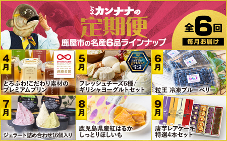【 全6回 】 鹿屋 カンナナ便 KN000-T10 チーズ ヨーグルト ギリシャ プリン ブルーベリー 粒王 ジェラート アイス 干し芋 紅はるか 芋 フェスティバロ 唐芋レアケーキ スイーツ 菓子 デザート 冷凍 定期便 ふるさと納税 鹿児島 鹿屋市 おすすめ ランキング プレゼント ギフト