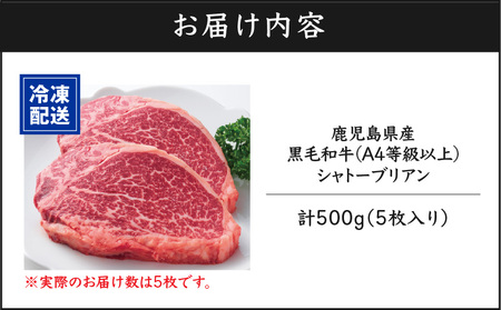 鹿児島県産 黒毛和牛 シャトーブリアン（ A4等級 以上 ） 500g （ 5枚入り ） KN021-019-04 肉 牛肉