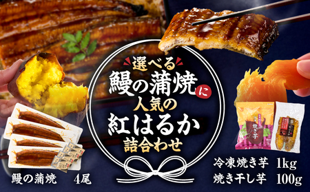 クラウドファンディングで応援！ 鰻の蒲焼 に人気の 紅はるか 詰め合わせ 4尾＋冷凍焼き芋 1kg＋焼き干し芋 100g KN026-021-04 うなぎ ウナギ 鰻 まがりうなぎ 規格外 蒲焼 さつまいも サツマイモ 焼き芋 やきいも 冷凍 干し芋 焼き干し芋 野菜 菓子 クラウドファンディング ふるさと納税3.0 オキス ふるさと納税 鹿児島 鹿屋市 おすすめ ランキング プレゼント ギフト