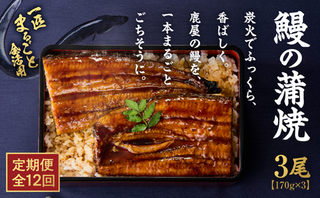 クラウドファンディング で 応援！【 全12回 定期便 】 鰻 の 蒲焼 3尾（170g×3） KN026-T07 うなぎ 惣菜 総菜 魚