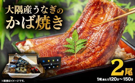 大隅産 うなぎ の かば焼き 2尾 KN174-001-02 ウナギ 鰻 蒲焼き 冷凍