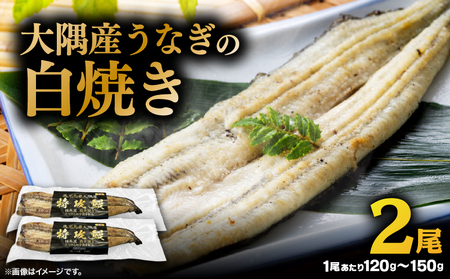 大隅産 うなぎ の 白焼き 2尾 KN174-002-02 ウナギ 鰻 冷凍