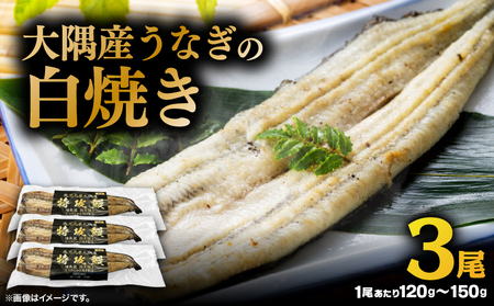 大隅産 うなぎ の 白焼き 3尾 KN174-002-03 ウナギ 鰻 冷凍