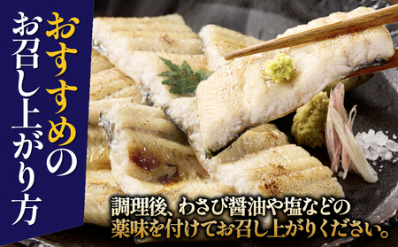 鹿児島県 大隅産 うなぎ 白焼 4尾 計450g KN007-011 白焼き 国産