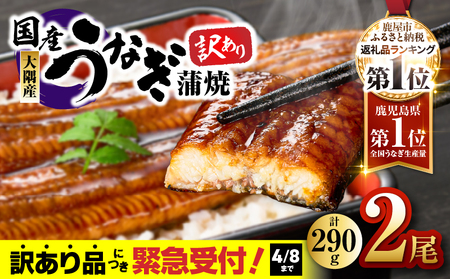 【 期間限定 4/8まで（賞味期限 5/24まで）】【 10営業日以内に発送 】【 訳あり 】鹿児島県大隅産うなぎ蒲焼2尾（290g） KN110-001-MC 期間限定 鰻 魚 スピード配送 スピード発送 最短 すぐ届く お急ぎ 最短10営業日