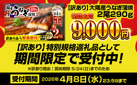 【 期間限定 4/8まで（賞味期限 5/24まで）】【 10営業日以内に発送 】【 訳あり 】鹿児島県大隅産うなぎ蒲焼2尾（290g） KN110-001-MC 期間限定 鰻 魚 スピード配送 スピード発送 最短 すぐ届く お急ぎ 最短10営業日