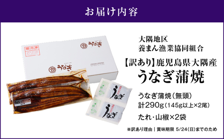 【 期間限定 4/8まで（賞味期限 5/24まで）】【 10営業日以内に発送 】【 訳あり 】鹿児島県大隅産うなぎ蒲焼2尾（290g） KN110-001-MC 期間限定 鰻 魚 スピード配送 スピード発送 最短 すぐ届く お急ぎ 最短10営業日