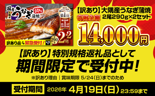 【 期間限定 4/19まで（賞味期限 5/24まで）】【 10営業日以内に発送 】【 訳あり 】鹿児島県大隅産うなぎ蒲焼2尾（290g）×2セット KN110-002-MC 期間限定 鰻 魚 スピード配送 スピード発送 最短 すぐ届く お急ぎ 最短10営業日