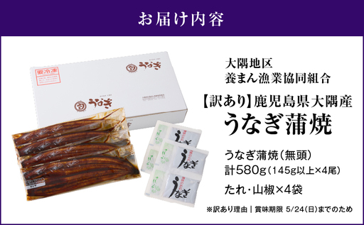 【 期間限定 4/19まで（賞味期限 5/24まで）】【 10営業日以内に発送 】【 訳あり 】鹿児島県大隅産うなぎ蒲焼2尾（290g）×2セット KN110-002-MC 期間限定 鰻 魚 スピード配送 スピード発送 最短 すぐ届く お急ぎ 最短10営業日