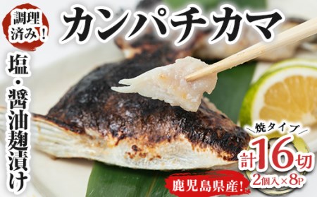 【年内配送12月8日入金まで】調理済み！カンパチカマ塩・醤油麹（こうじ）漬け16切［焼タイプ］ 1277