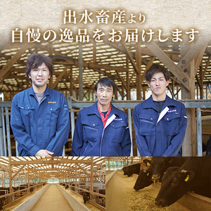 【年内配送12月1日入金まで】鹿児島県産黒毛和牛シャトーブリアン4～5枚入（560g） 506-1