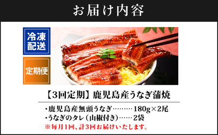 1547-3 【 全3回 定期便 】 鹿児島 産 うなぎ 合計360g （ 180g × 2尾 ） KN021-T01 ウナギ 鰻 うなぎ蒲焼 鰻蒲焼き ウナギ蒲焼 惣菜 総菜 定期 魚類 魚貝類 魚介類 海産物 鰻重 うな重 ひつまぶし 鰻丼 土用の丑 魚 冷凍 財宝 ふるさと納税 鹿屋市 おすすめ ランキング プレゼント ギフト
