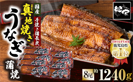 1712-1 大人気！鯉家の絶品蒲焼「真地焼きうなぎ蒲焼（8尾）」【国産・手焼き備長炭】 KN040-008 うなぎ 国産 本格 鰻 ウナギ 蒲焼 冷凍 湯煎 レンジ 解凍 簡単調理 鰻丼 鰻重 ひつまぶし 魚 土用の丑 鰻の蒲焼き うなぎの蒲焼き ウナギの蒲焼き お魚 魚介類 魚貝類 魚類 生産量1位 真地焼きうなぎ 秘伝タレ 備長炭 贅沢 上質 ご褒美 ご馳走 ごちそう おかず 鯉家 ふるさと納税 鹿児島 鹿屋市 おすすめ ランキング プレゼント ギフト
