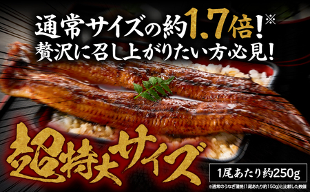 1746-1 うなぎ問屋 の 備長炭手焼 うなぎ蒲焼 超特大 4尾 (1000g) KN029-001-07 魚 鰻
