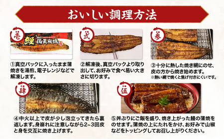 1746-1 うなぎ問屋 の 備長炭手焼 うなぎ蒲焼 超特大 4尾 (1000g) KN029-001-07 魚 鰻