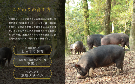 「かごしま森の黒豚」 鉄板焼きセット　小分け 966-2