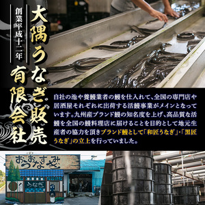 1960 《特大》うなぎ蒲焼 食べ比べ　４尾 計820g 【備長炭手焼・蒸し入り】