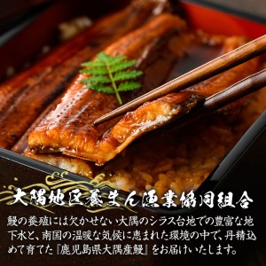 2082 【３ヶ月定期便】鹿児島県大隅産うなぎ蒲焼5尾（750ｇ）【国産】毎月お届け  本格 うなぎ 鰻 蒲焼（鹿児島）