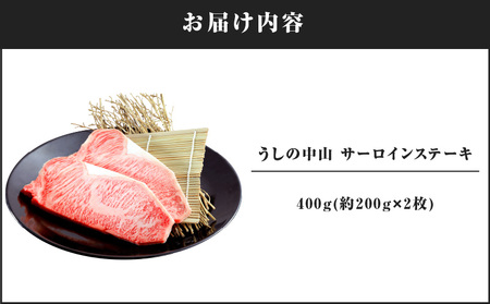 2106 うしの中山 サーロイン ステーキ 400g KN050-005 国産 和牛 黒毛和牛 牛肉 サーロインステーキ nixy 中山亭 鹿屋店 ふるさと納税 鹿児島 鹿屋市 おすすめ ランキング プレゼント ギフト