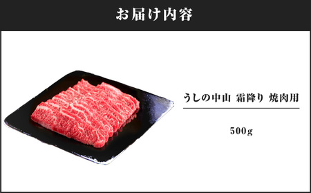 2110-1 うしの中山 赤身 焼肉用 500g KN050-038 国産 和牛 黒毛和牛 牛肉 焼肉 nixy 中山亭 鹿屋店 ふるさと納税 鹿児島 鹿屋市 おすすめ ランキング プレゼント ギフト