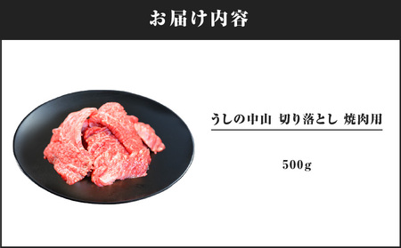 2111 うしの中山 切り落とし 焼肉用 500g KN050-004 国産 和牛 黒毛和牛 牛肉 切落し 焼肉 nixy 中山亭 鹿屋店 ふるさと納税 鹿児島 鹿屋市 おすすめ ランキング プレゼント ギフト