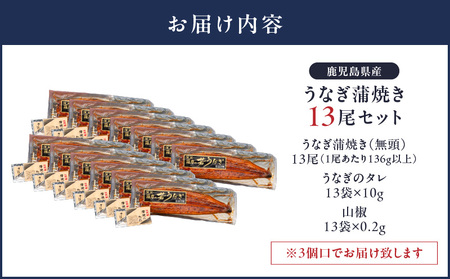 2124 鹿児島県産 うなぎ蒲焼 13尾 KN058-002-13 魚 冷凍 鰻