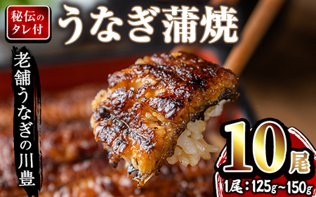 【年内配送12月8日入金まで】昭和56年創業 うなぎの川豊 有頭 蒲焼き 10尾 セット 949-3