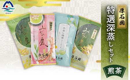 お茶の老舗“厚石園”の特選深蒸しセット 【高級煎茶・特上煎茶・水出し煎茶ティーバッグ】 A8-30_飲料・ドリンク 茶葉・ティーバッグ 茶 _【配送不可地域：離島】【1166622】 8,520円