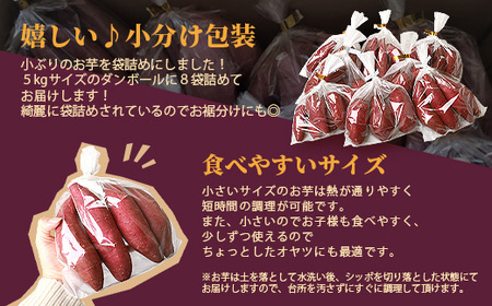 シルクスイート 小分け8袋入り 小ぶりサイズ さつまいも 鹿児島県 A2-4_野菜 さつまいも いも サツマイモ 薩摩芋  野菜  いも イモ 芋_【配送不可地域：離島】【1167016】