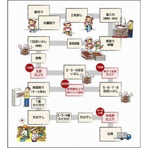 【訳あり】ふぞろいの枕崎産鰹節「新さつま節」約1kg　AA-2006【1457782】