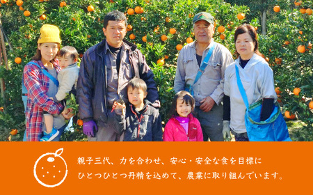 【2Lサイズ 】南国特産もぎたて たんかん 5kg【先行受付】2月下旬より順次発送 A8-122_果物・フルーツ 柑橘 _【配送不可地域:離島】【1466325】