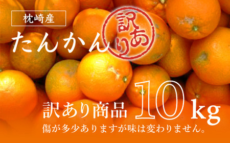 【訳あり】南国特産もぎたてフルーツ たんかん10kg【先行受付】2月下旬より順次発送 A6-13【1466329】