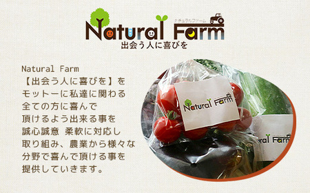 発酵ジェノベーゼソース(150g×8個)【鹿児島県枕崎産 バジル使用】C0-67_惣菜・加工品     調味料   _【配送不可地域：離島】【1476145】