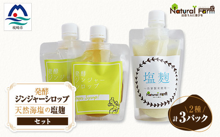 発酵ジンジャーシロップ＆塩麹A7-11_調味料   _【配送不可地域：離島】【1482017】