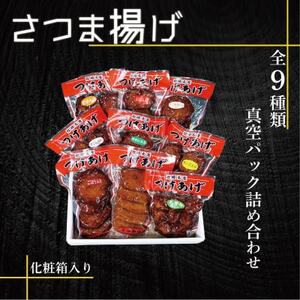 真空パック さつま揚げ(つけあげ)全9種詰合せ 化粧箱入り B0-22_魚介・海産物 かまぼこ・練り製品  カマボコ 練物 練り物 ねりもの_【配送不可地域：離島】【1487548】