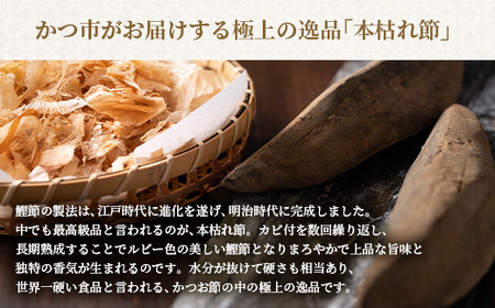 【母の日】おだし本舗かつ市 旨味茶節セット  郷土料理 味噌汁 国産 A8-98M_惣菜・加工品 スープ  _【配送不可地域：離島】【1490774】